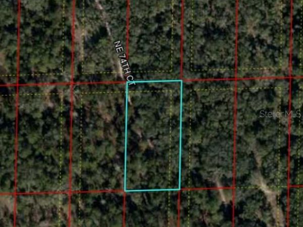 BRONSON, FL, BRONSON, FL 32621