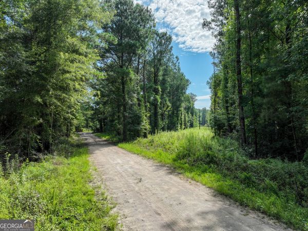 497 T04 River Road, Dry Branch, GA 31020