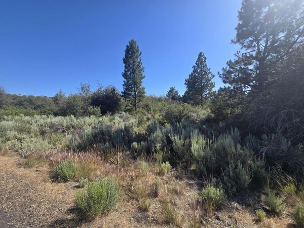 Wrightwood, Unit Lot 28, Chiloquin, OR 97624