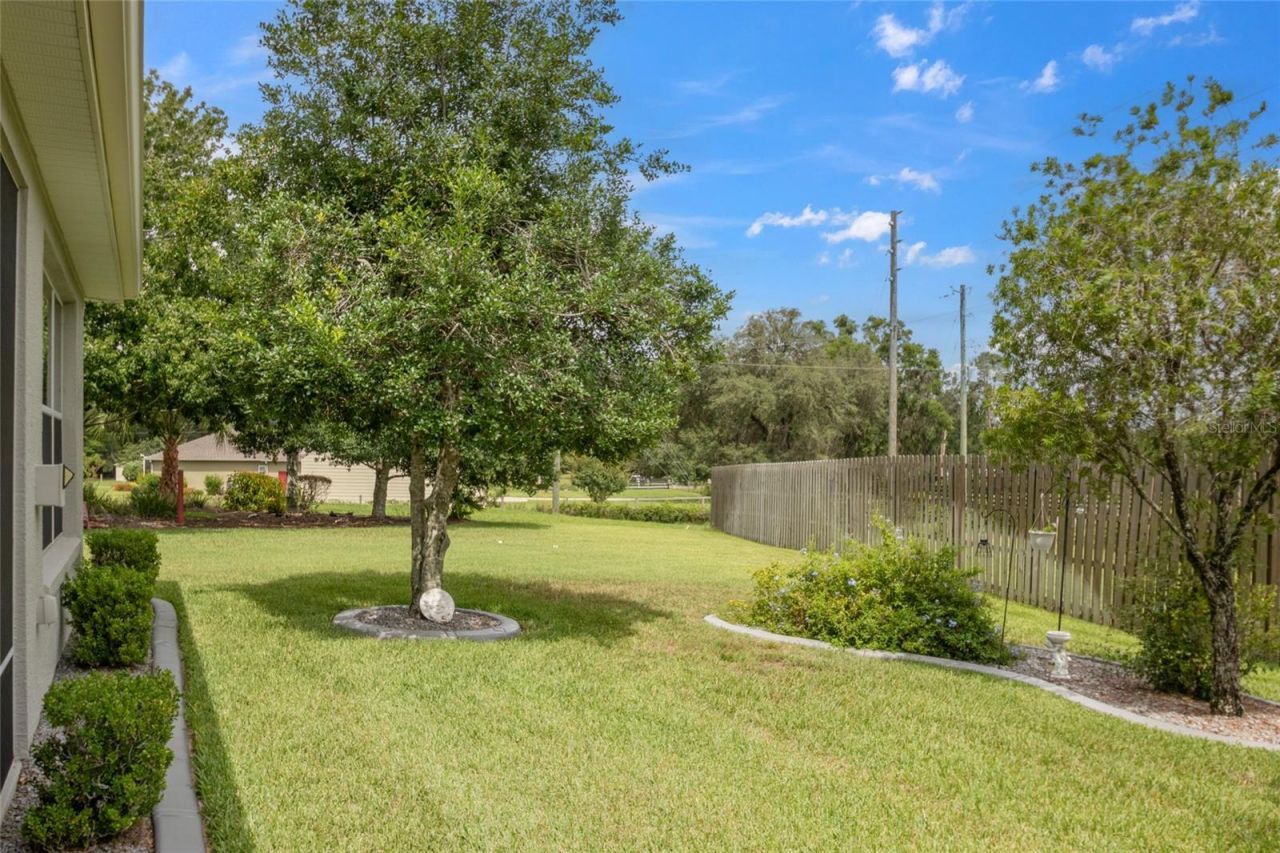 13944 SE 96th Circle, Summerfield, FL 34491 Photo