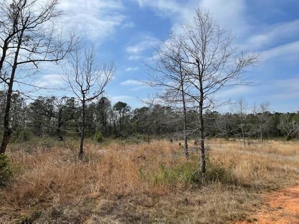 10765 Mary Ann Beach Road , Fairhope, AL 36532