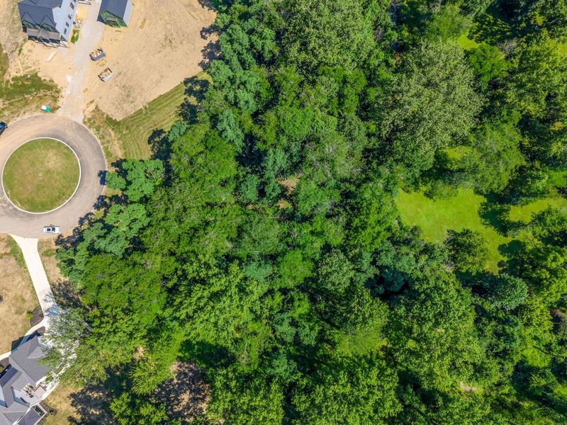 0 Olive Court, Unit 311, Sunbury, OH 43074 Photo 2