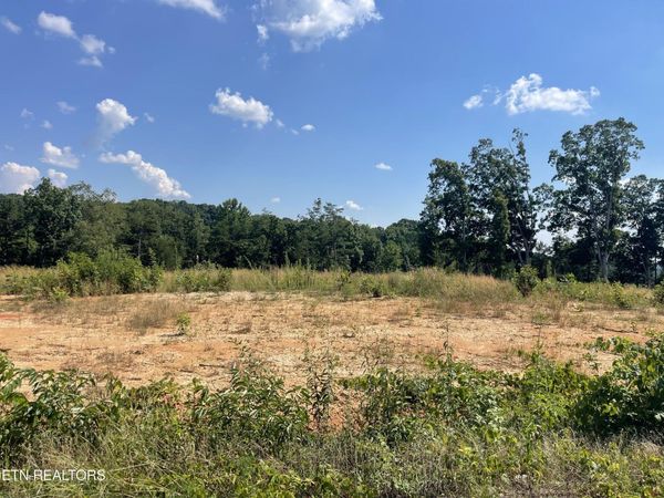 Lot 20 Laura Boling Loop Rd, Strawberry Plains, TN 37871