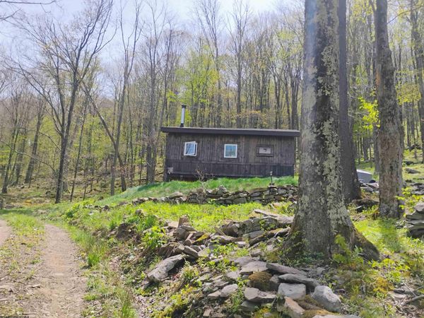 1373 Rocky Road, Harman, WV 26270