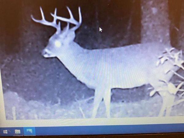 2898 Whetstone Road, Woodville, MS 39669