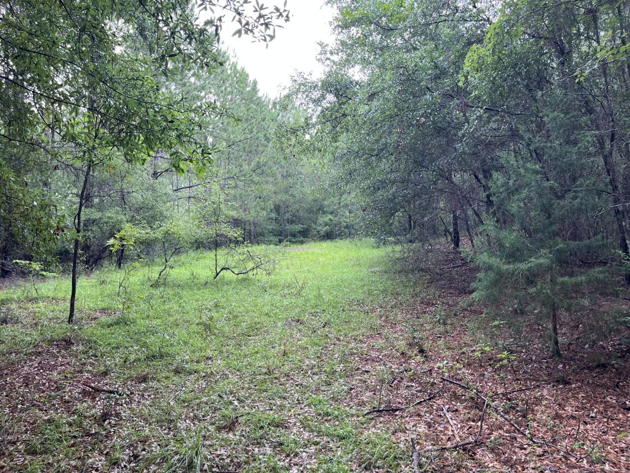 0 Carolette Court Photo 10