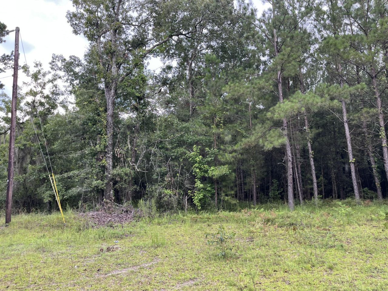 0 Carolette Court Photo 11