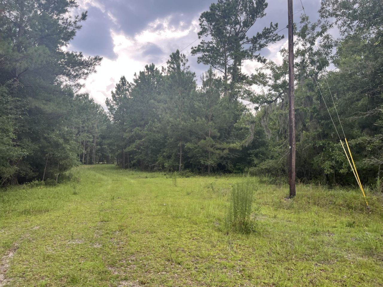 0 Carolette Court Photo 12