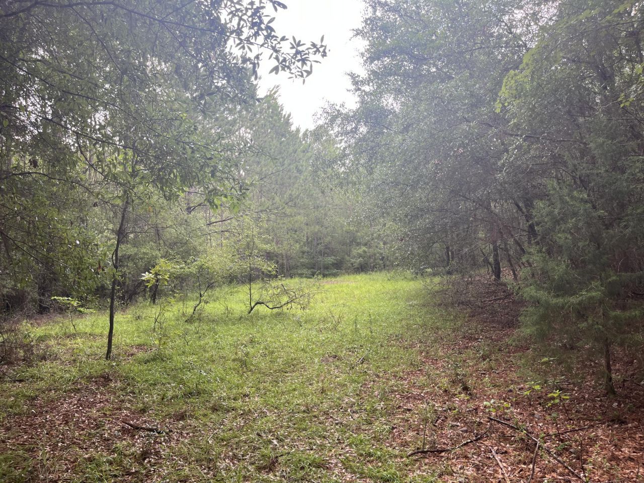 0 Carolette Court Photo 13