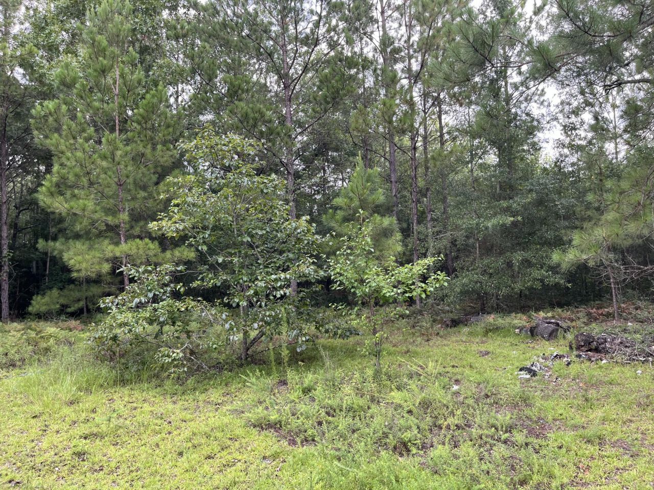 0 Carolette Court Photo 14