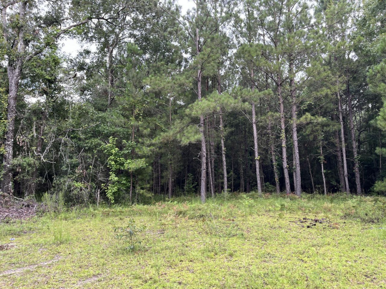 0 Carolette Court Photo 15