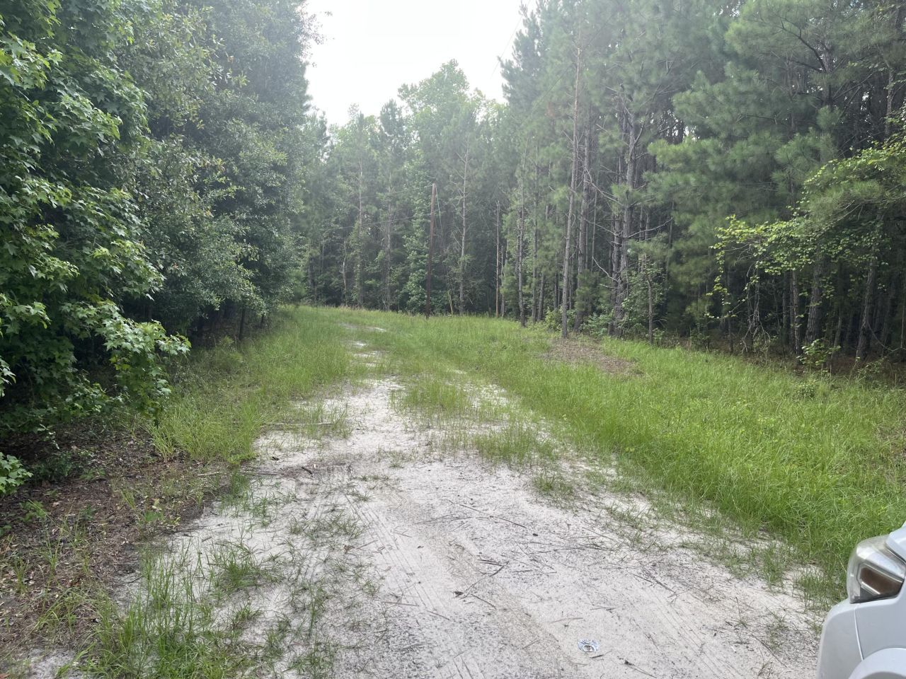 0 Carolette Court Photo 8