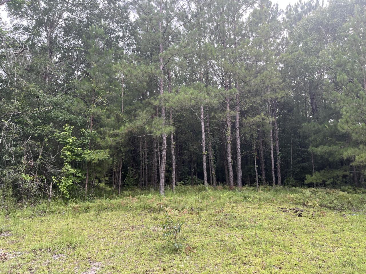 0 Carolette Court Photo 9