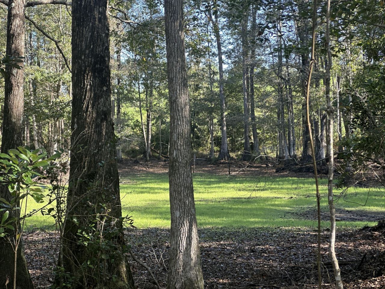 Parcel E Millside Road, Laurel Hill, FL 32567 Main Photo