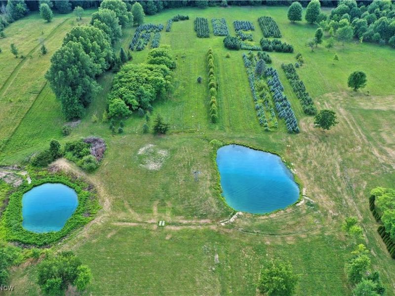 3609 State Route 225, Diamond, OH 44412 Photo 18