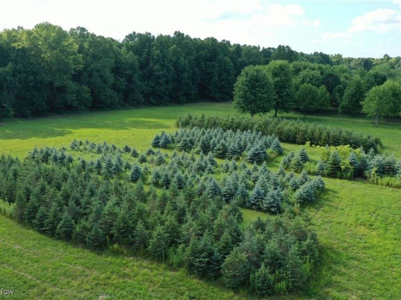 3609 State Route 225, Diamond, OH 44412 Photo 19