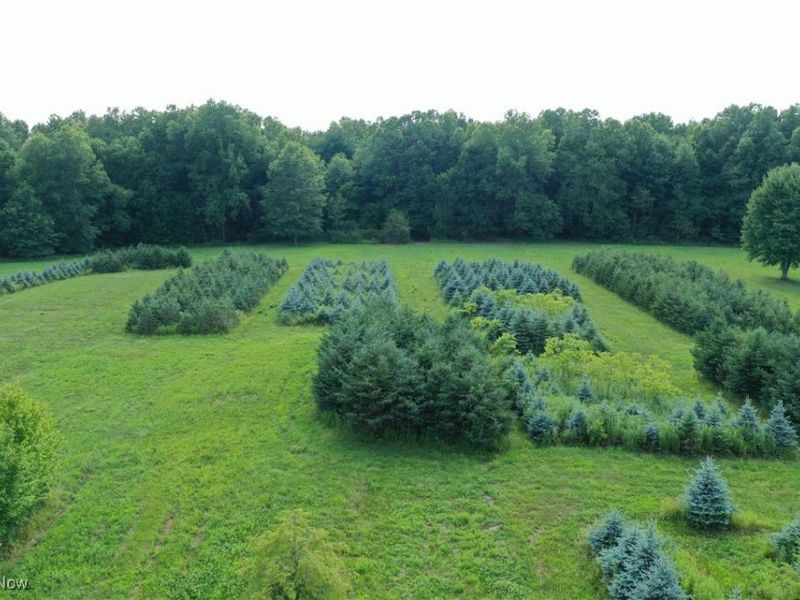 3609 State Route 225, Diamond, OH 44412 Photo 20