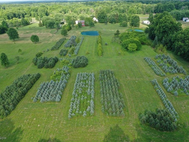 3609 State Route 225, Diamond, OH 44412 Photo 21