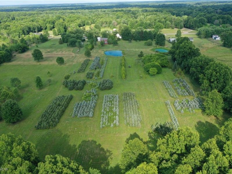 3609 State Route 225, Diamond, OH 44412 Photo 22