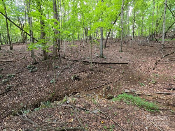 801399 Ivy Road, Mills River, NC 28759