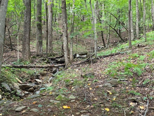 800610 Ivy Road, Mills River, NC 28759