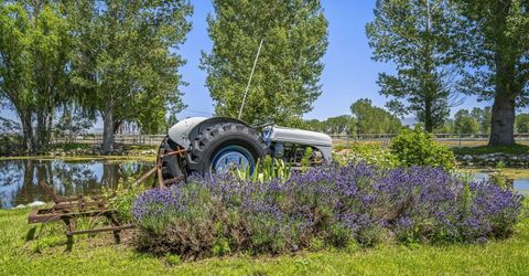 389 Mottsville Lane, Gardnerville, NV 89460 Photo