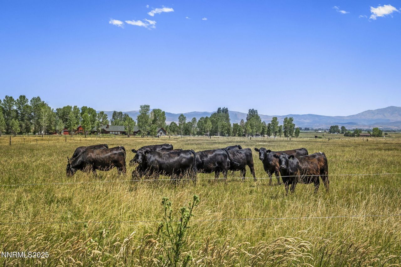 389 Mottsville Lane, Gardnerville, NV 89460 Photo