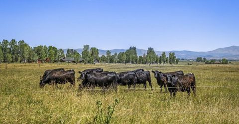 389 Mottsville Lane, Gardnerville, NV 89460 Photo