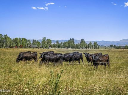 389 Mottsville Lane, Gardnerville, NV 89460 Photo