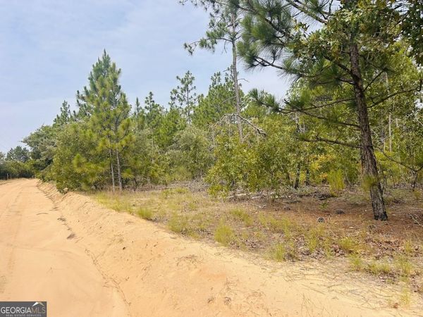 375 Village Lane, Mauk, GA 31058