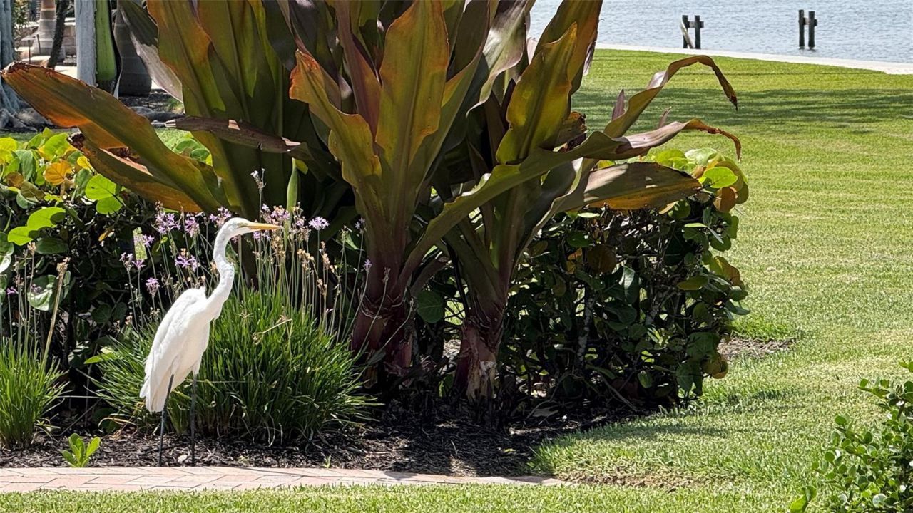 4423 Bay Shore Road, Sarasota, FL 34234 Photo