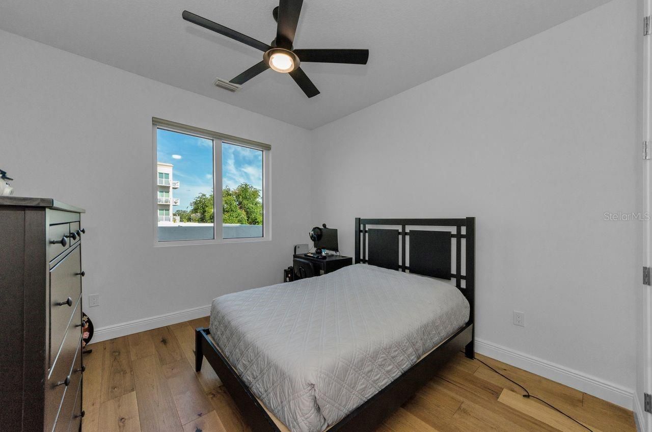 600 3rd Avenue S, Unit 301, Saint Petersburg, FL 33701 Photo