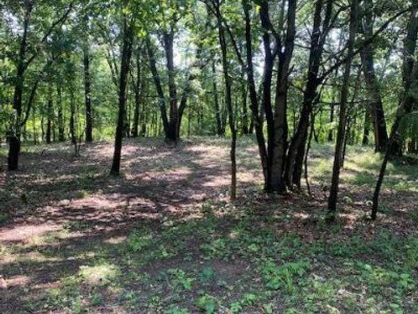4 Sleaford-Parcel 4 - 32.92 Acres Road, Howell Twp, MI 48843
