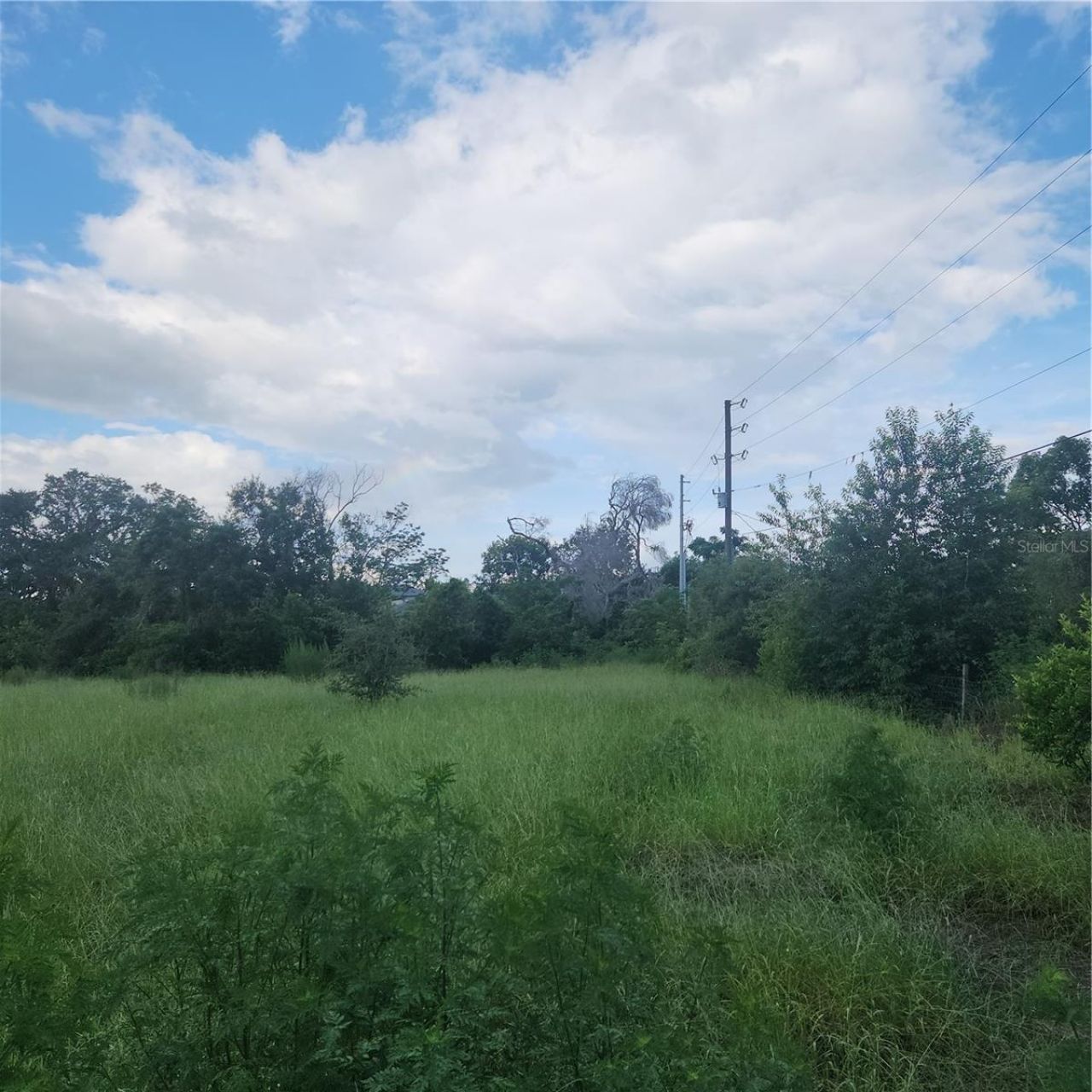 4137 New River Rd, Zephyrhills, FL 33542 Photo