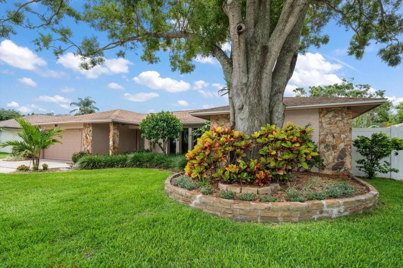 1623 El Tair Trl, Clearwater, FL 33765 Photo