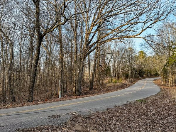 3677 Center Hill Road, Finger, TN 38334