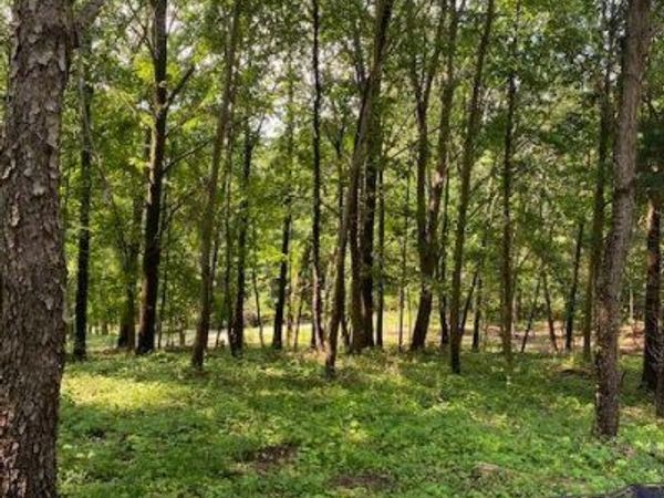 5 Sleaford-Parcel 5 - 2.5 Acres Road, Howell Twp, MI 48843