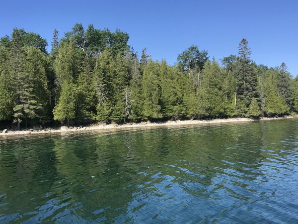 TBD S Coryell Island, Cedarville, MI 49719