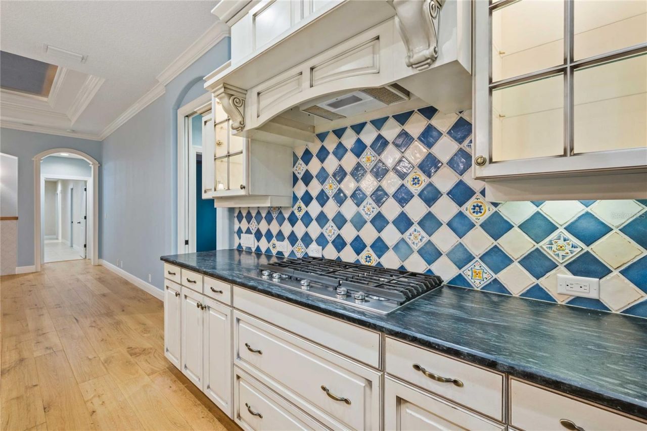 13353 Carnoustie Circle, Dade City, FL 33525 Photo