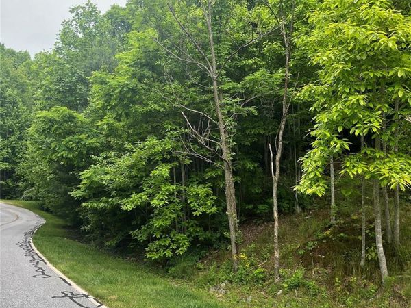 112 PINNACLE PEAK Lane, Flat Rock, NC 28731