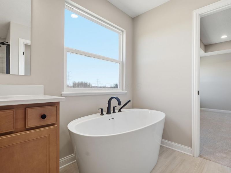 5547 Green Castle Court, Delaware, OH 43015 Photo 49