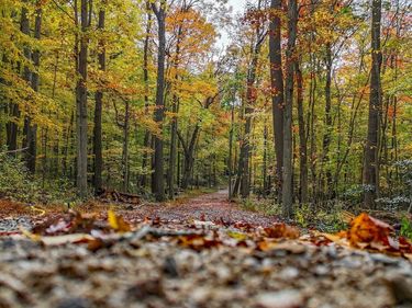 Lot 21 Snake Hill Road, Morgantown, WV 26508