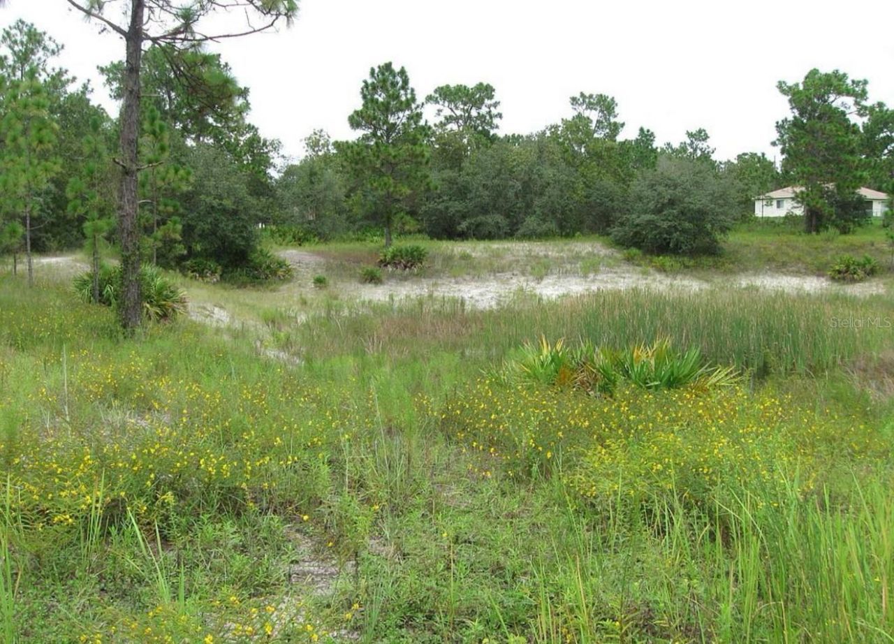 0 Fulton Avenue, Weeki Wachee, FL 34613 Photo