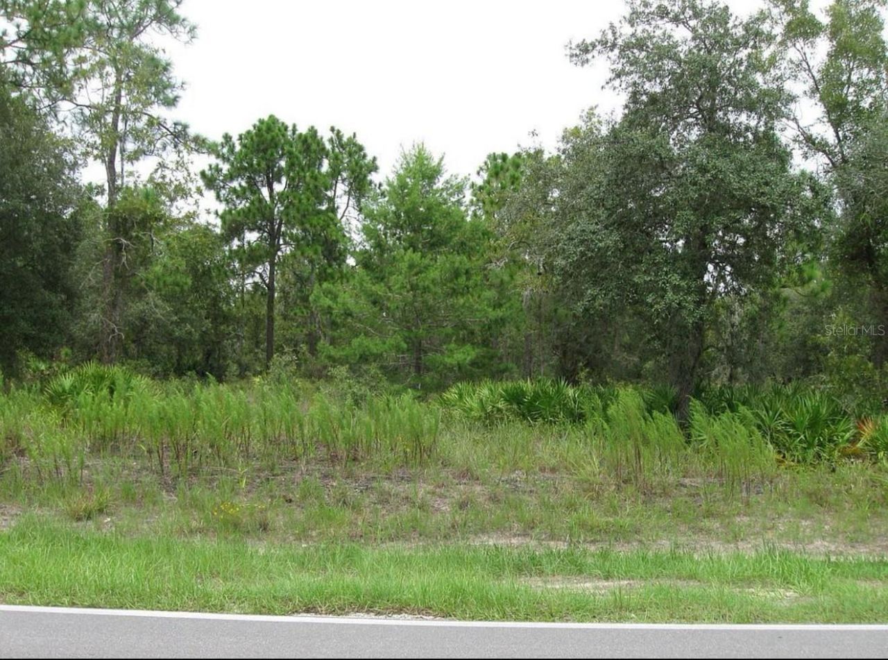 0 Fulton Avenue, Weeki Wachee, FL 34613 Photo