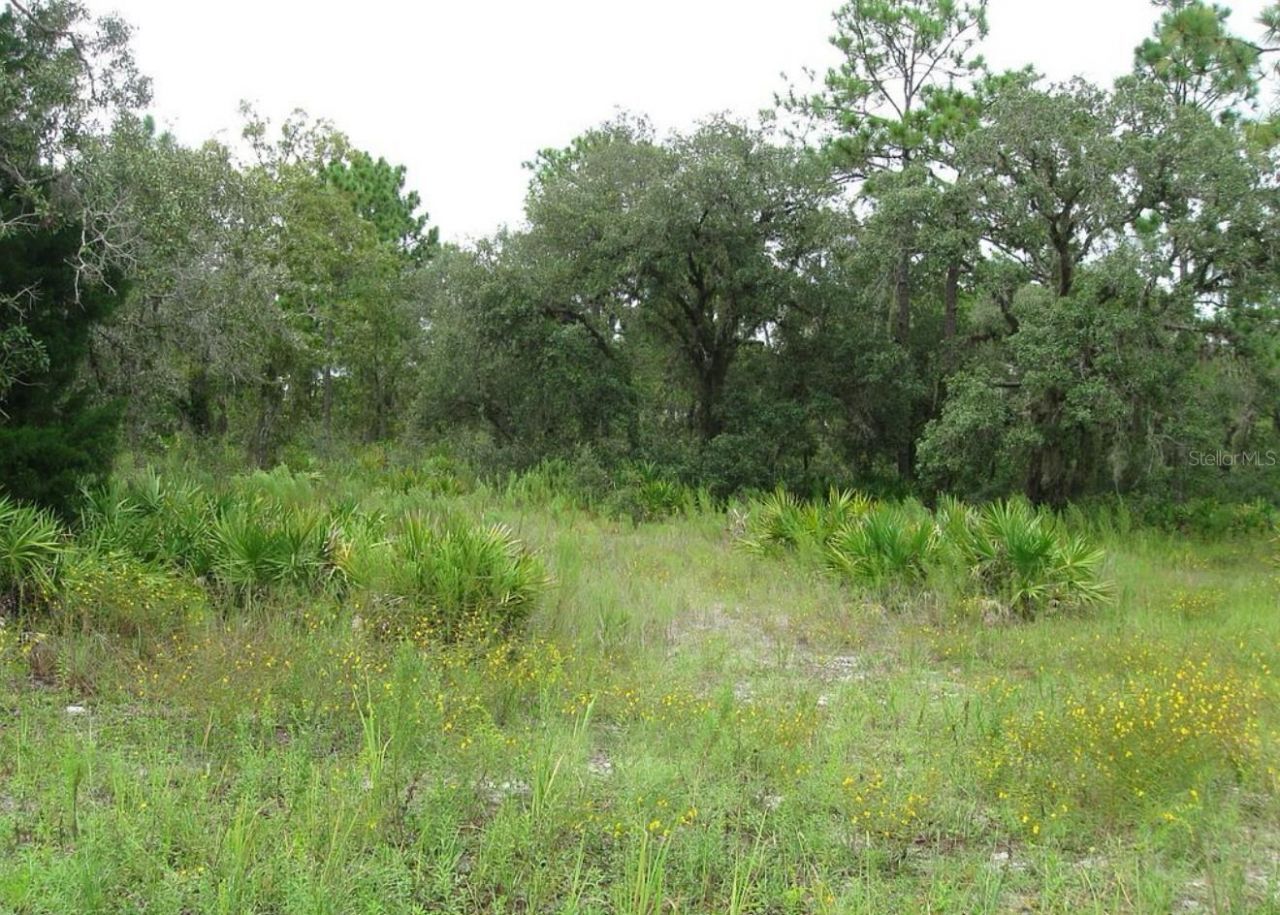 0 Fulton Avenue, Weeki Wachee, FL 34613 Photo