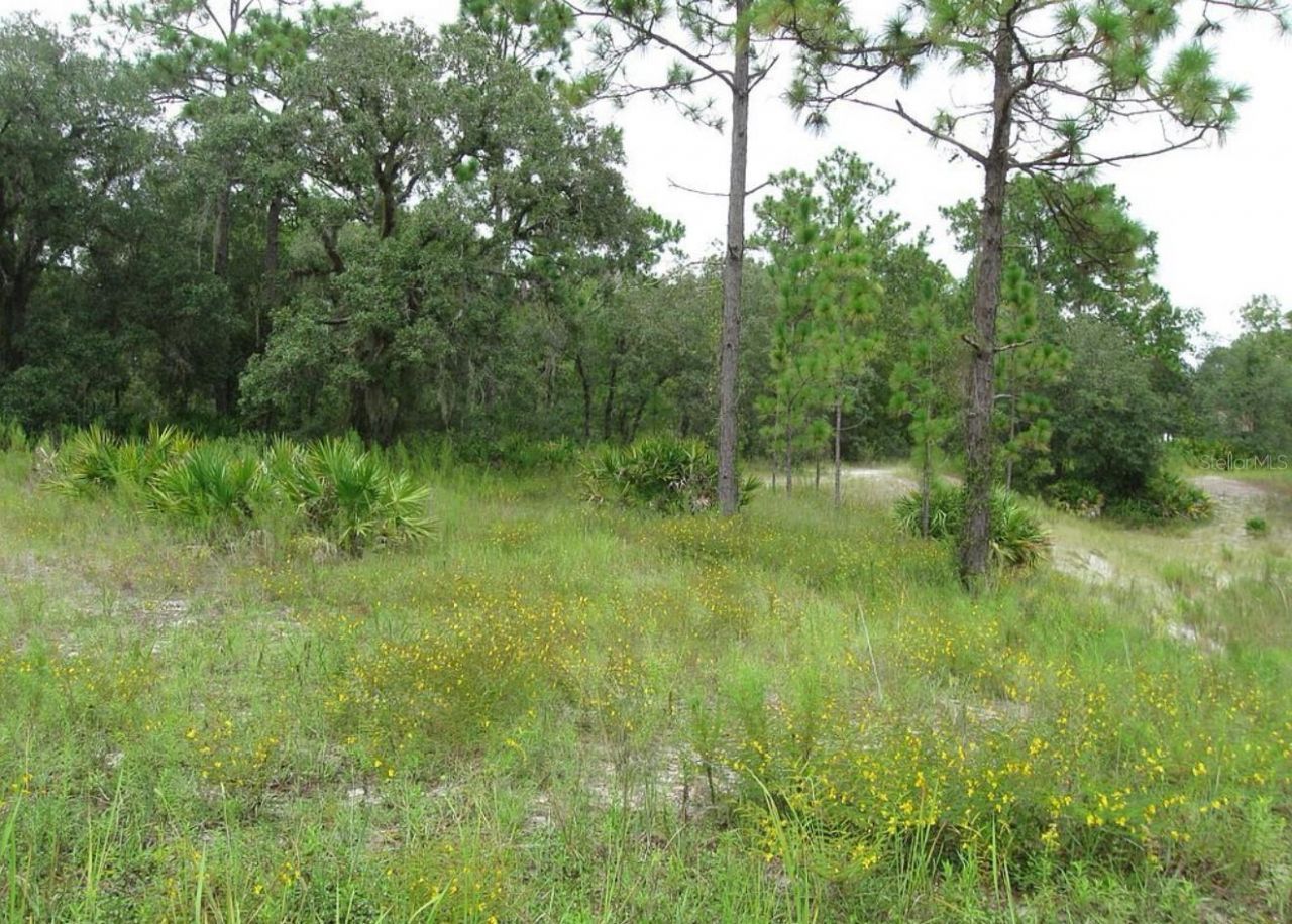 0 Fulton Avenue, Weeki Wachee, FL 34613 Photo