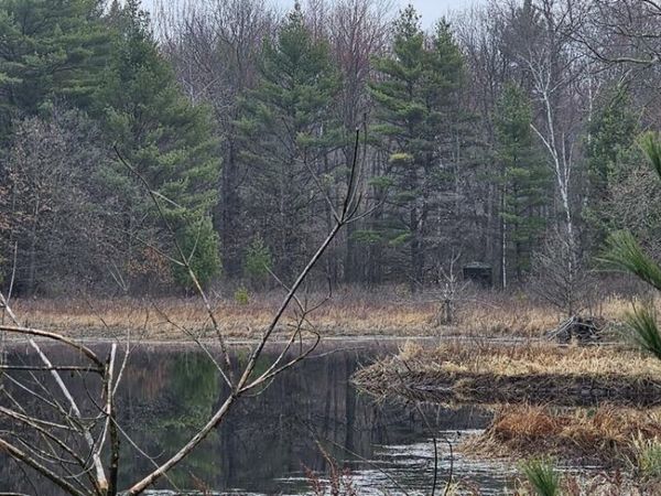 0 ELKER ROAD, Humbird, WI 54746