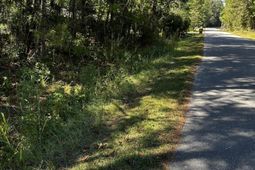 00 Brewer Road photo 4