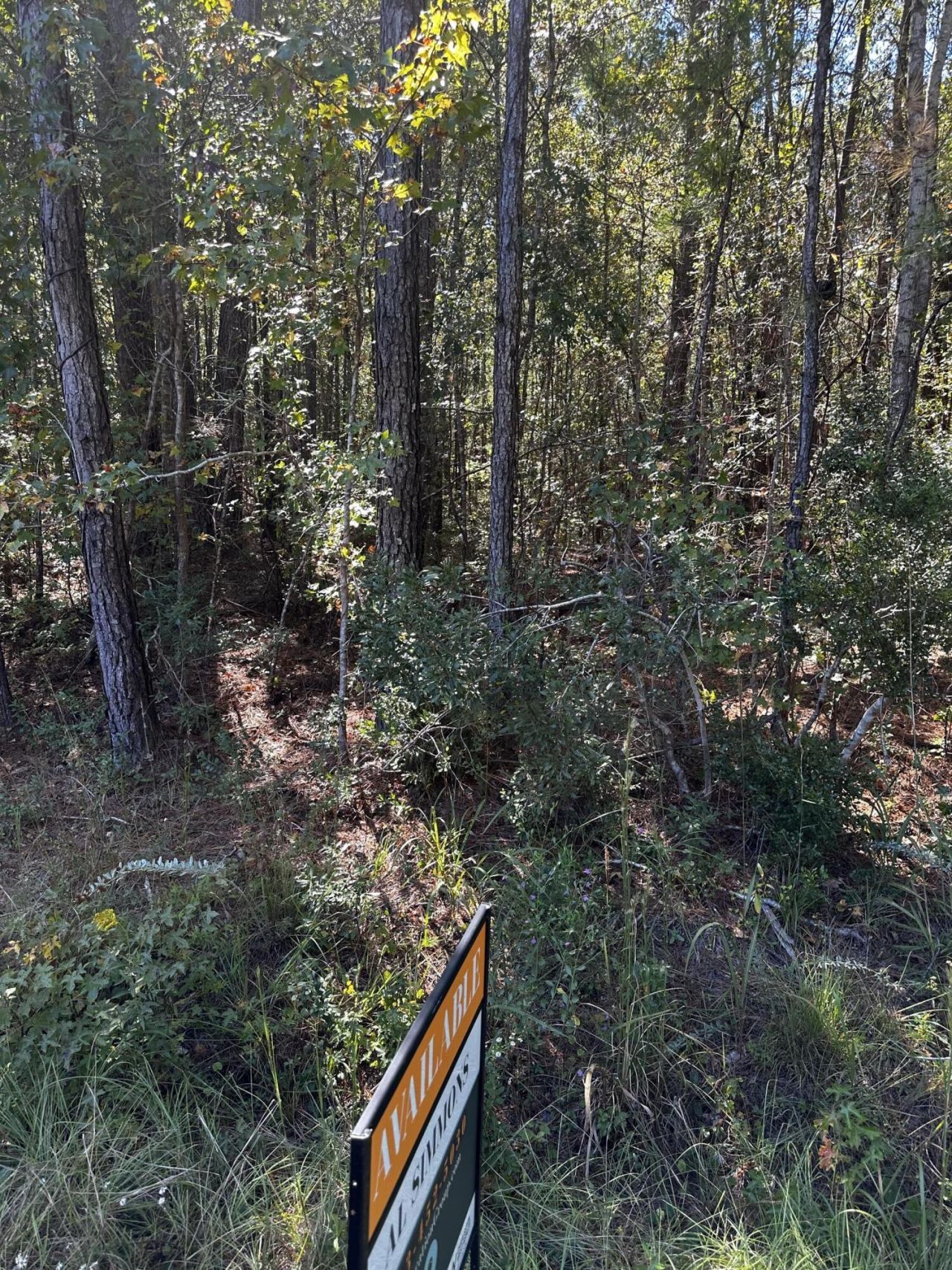 00 Brewer Road Photo 4