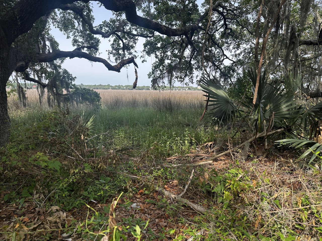 2342 Parsonage Road Photo 10